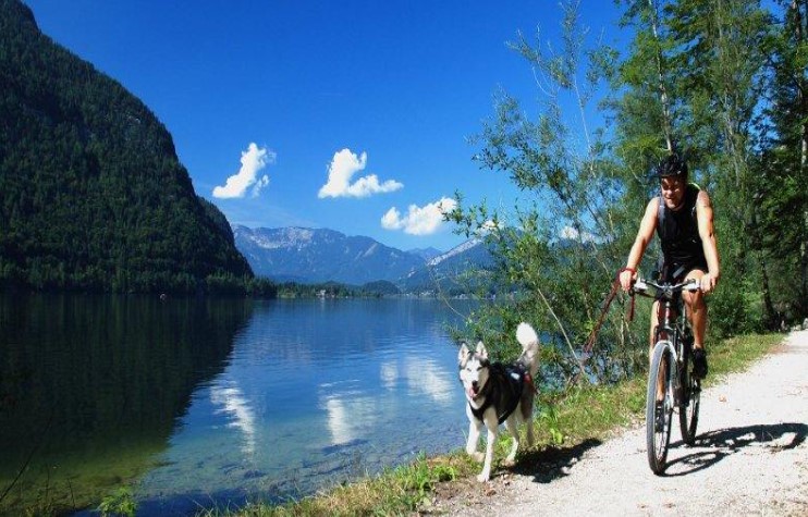 way along the Hallstatt lake from train station 