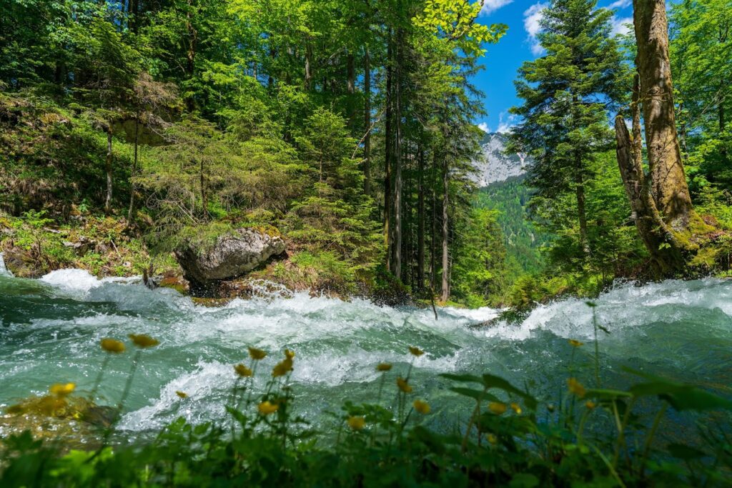 Waldbachstrub waterfall