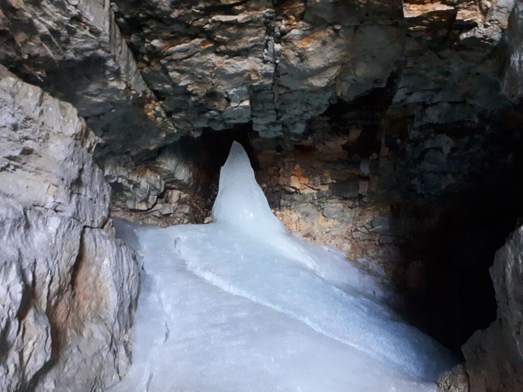 Dachstein shark Krippensteinehohle cave