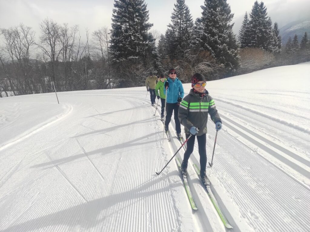 Crosss country skiing near Hallstatt - winter wonderland