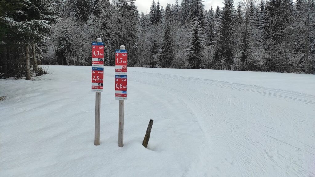 sport loipe Bad Mitterndorf - cross country skiing near Hallstatt