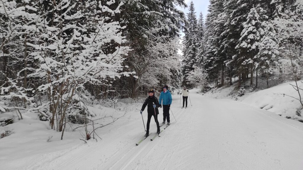  Nordic ski near Hallstatt - Winter fun